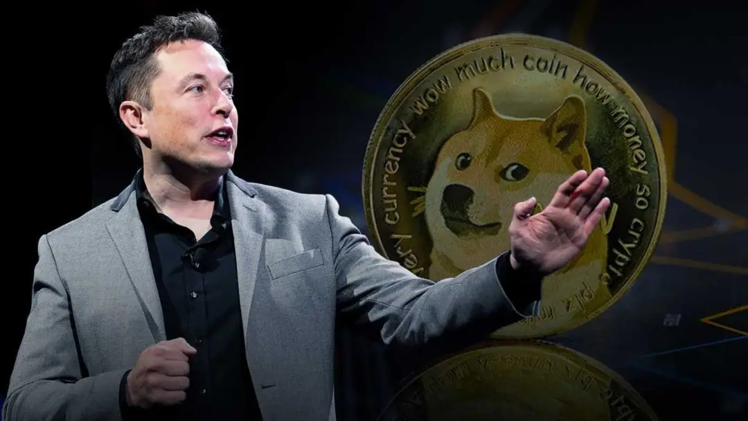elon musk and cryptocurrency