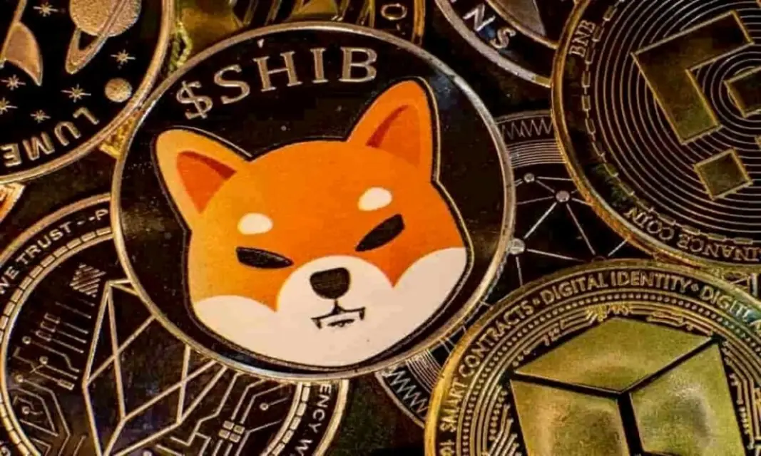 will shiba inu coin reach $1 in 2022