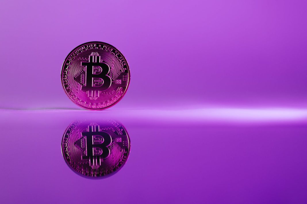 Bitcoin Purple Cryptocurrency Market Cap